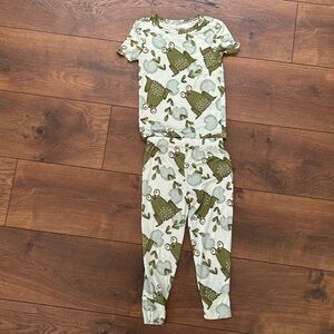 Like new Posh Peanut S/S frog pajamas, size 3-4T🐸